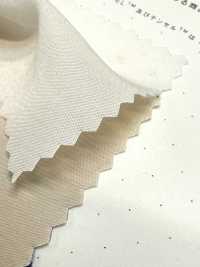 1830 Tecido De Fibra Modal Poly-Tencel™[Têxtil / Tecido] Têxtil Kuwamura subfoto