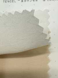1830 Tecido De Fibra Modal Poly-Tencel™[Têxtil / Tecido] Têxtil Kuwamura subfoto