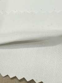 SBT-003 Orgânico ECO Sem Estampa[Têxtil / Tecido] Têxtil Kuwamura subfoto