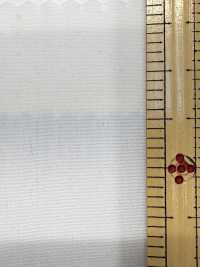 2190 80/2 Fim A Fim Tamamushi Chambray[Têxtil / Tecido] Têxtil Kuwamura subfoto