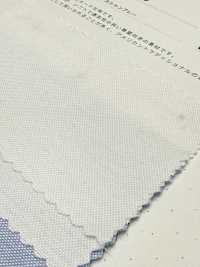 2050 Oxford Chambray[Têxtil / Tecido] Têxtil Kuwamura subfoto