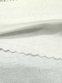 2050 Oxford Chambray[Têxtil / Tecido] Têxtil Kuwamura subfoto