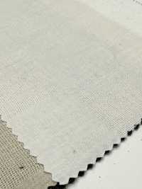 CHL-6341 Linho Panamá Block Check[Têxtil / Tecido] Têxtil Kuwamura Foto secundária