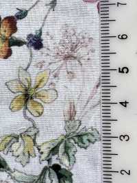 DP-5000-1 60 Impressão Digital Botânica Para Gramado[Têxtil / Tecido] HOKKOH subfoto