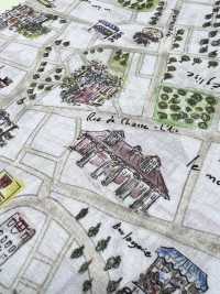 DP-5000-5 Padrão De Mapa De Impressão Digital Para Gramado 60[Têxtil / Tecido] HOKKOH Foto secundária