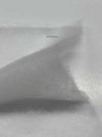 KWX30 [Entrelinha] subfoto