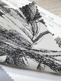 KKP3601-D66 Nova Vênus Deshin[Têxtil / Tecido] Uni Textile(Komon Studio) Foto secundária