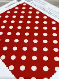 KKP3601-D5 Nova Vênus Deshin[Têxtil / Tecido] Uni Textile(Komon Studio) Foto secundária