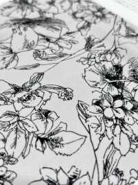 KKP3601-D108 Nova Vênus Deshin[Têxtil / Tecido] Uni Textile(Komon Studio) Foto secundária