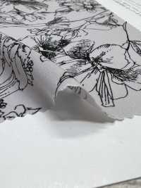 KKP3601-D108 Nova Vênus Deshin[Têxtil / Tecido] Uni Textile(Komon Studio) Foto secundária