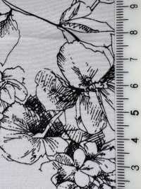 KKP3601-D108 Nova Vênus Deshin[Têxtil / Tecido] Uni Textile(Komon Studio) Foto secundária