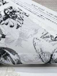 KKP4193-D100-98 Jacquard De Corte Chiffon[Têxtil / Tecido] Uni Textile(Komon Studio) Foto secundária