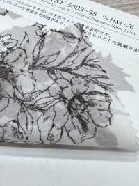 KKP5603-58-DHM-76 Grama Fiada De Largura Ampla[Têxtil / Tecido] Uni Textile(Komon Studio) Foto secundária