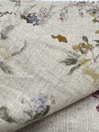 7026-1710-4 Padrão Botânico CL Loomstate[Têxtil / Tecido] HOKKOH Foto secundária