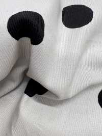 7026-1720-6 Círculo De Veludo Cotelê Pintado à Mão 21W[Têxtil / Tecido] HOKKOH Foto secundária