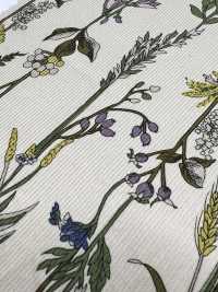 3026-1770-1 Veludo Cotelê 21W[Têxtil / Tecido] HOKKOH Foto secundária