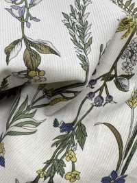 3026-1770-1 Veludo Cotelê 21W[Têxtil / Tecido] HOKKOH Foto secundária