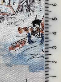 8026-1560-3 30 Viyella Angel Soft Nordic Landscape Pattern[Têxtil / Tecido] HOKKOH Foto secundária