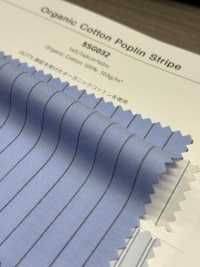 5SG032 Listras De Popeline De Algodão Orgânico[Têxtil / Tecido] Chambray Foto secundária