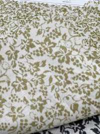 7026-1610-1 60 Gramado 9088 Esquilo E Uvas[Têxtil / Tecido] HOKKOH Foto secundária