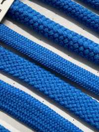 6AY Cordão Flexível Para Bolsa 4,6 Mm[Cabo De Fita] Cordon Foto secundária