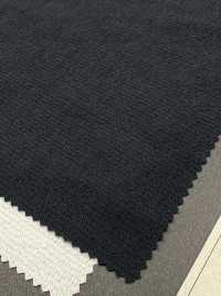 1067616 Recicle X Perda De Peso SY Ripstop Check[Têxtil / Tecido] TAKISADA NAGOYA Foto secundária