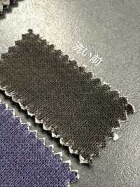 1078551GA Lã Pigmentada 30/1[Têxtil / Tecido] TAKISADA NAGOYA Foto secundária