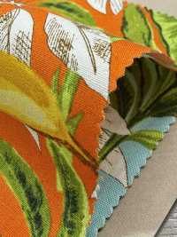 4257 Broadcloth Elegante Relaxante Com Estampa De Banana E Folhas[Têxtil / Tecido] VANCET Foto secundária