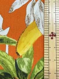 4257 Broadcloth Elegante Relaxante Com Estampa De Banana E Folhas[Têxtil / Tecido] VANCET Foto secundária