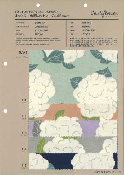 850553 Oxford Algodão Cru Couve-flor