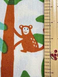 850600 Broadcloth, Pop Estiloso: Macaco Tropical[Têxtil / Tecido] VANCET Foto secundária