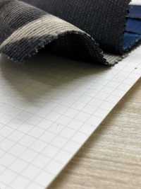 DCL115-SF 14W T/C Corduroy Decorore[Têxtil / Tecido] Kumoi Beauty Foto secundária