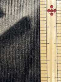 DCL115-SF 14W T/C Corduroy Decorore[Têxtil / Tecido] Kumoi Beauty Foto secundária