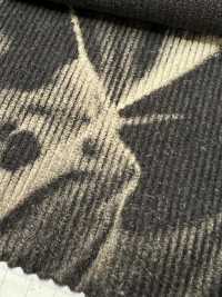 DCL755-SF 16W Veludo Cotelê Decorado[Têxtil / Tecido] Kumoi Beauty Foto secundária