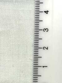 B6500Z Gaze Dupla Dobrada Ao Meio[Têxtil / Tecido] VANCET Foto secundária