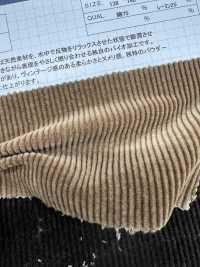 ND7035 Veludo Cotelê Nidom Bioprocessado Em Algodão/Modal 9W[Têxtil / Tecido] Kumoi Beauty Foto secundária