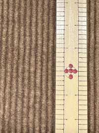 ND7035 Veludo Cotelê Nidom Bioprocessado Em Algodão/Modal 9W[Têxtil / Tecido] Kumoi Beauty Foto secundária