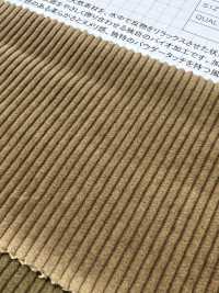 ND7025 Shankar 9W Veludo Cotelê Orgânico Bioprocessado[Têxtil / Tecido] Kumoi Beauty Foto secundária