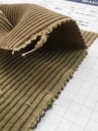 ND7025 Shankar 9W Veludo Cotelê Orgânico Bioprocessado[Têxtil / Tecido] Kumoi Beauty Foto secundária