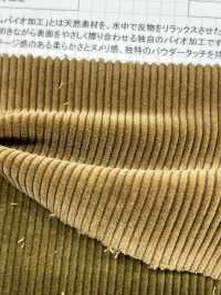 ND7025 Shankar 9W Veludo Cotelê Orgânico Bioprocessado[Têxtil / Tecido] Kumoi Beauty Foto secundária