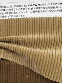 ND7005 Veludo Cotelê 9W Com Bioprocessamento Nidom[Têxtil / Tecido] Kumoi Beauty Foto secundária