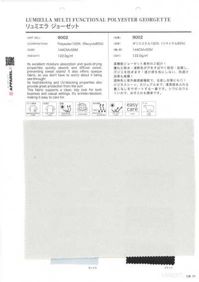 9002 Georgete Ryumiera