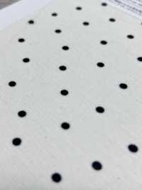 KKP8036-W-SB-321 Camisa BR×SD100d De Largura Ampla[Têxtil / Tecido] Uni Textile(Komon Studio) Foto secundária