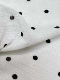 KKP8036-W-SB-321 Camisa BR×SD100d De Largura Ampla[Têxtil / Tecido] Uni Textile(Komon Studio) Foto secundária