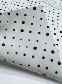 KKP9934-W-SB-316 Fibra Dividida De Largura Larga De Chine[Têxtil / Tecido] Uni Textile(Komon Studio) Foto secundária