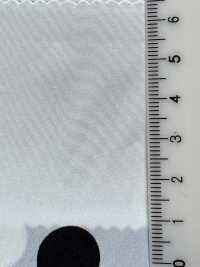 KKP9934-W-SB-128 Fibra Dividida De Largura Larga De Chine[Têxtil / Tecido] Uni Textile(Komon Studio) Foto secundária