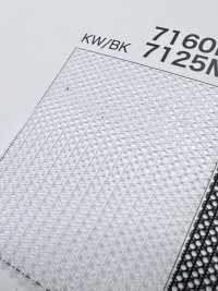 7125MY [Resina] Foto secundária