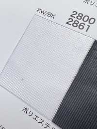 2800 [Resina] Foto secundária