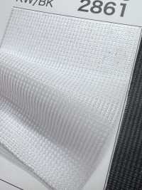 2800 [Resina] Foto secundária