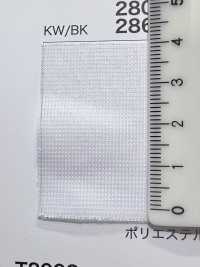 2800 [Resina] Foto secundária